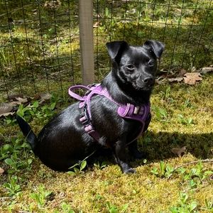 Meet your Posher, Kim